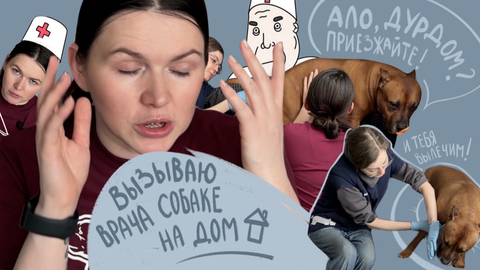 Вызов врача на дом! Чума плотоядных, бешенство в Москве! Я просрочила вакцинацию!