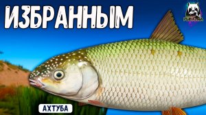 Rf4 они приходят только избранным #рр4