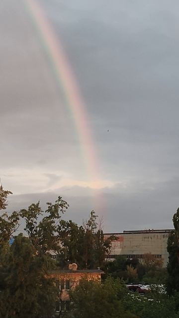 Радуга 🌈