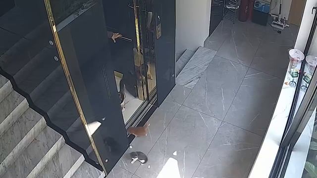 САМЫЕ НЕЛЕПЫЕ МОМЕНТЫ, СНЯТЫЕ НА КАМЕРУ НАБЛЮДЕНИЯ (2)