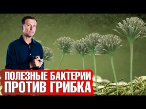 Здоровая микрофлора кишечника: как восстановить микробиом👍