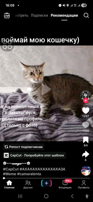 гулянка