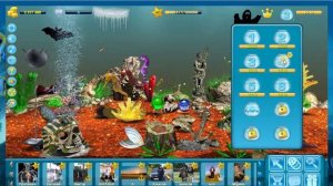 Кормление рыбок в игровых аквариумах. День 653