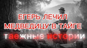 ЕГЕРЬ ЛЕЧИЛ МЕДВЕДИЦУ В ТАЙГЕ |таежные истории