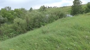 Манная болтушка против хлеба.