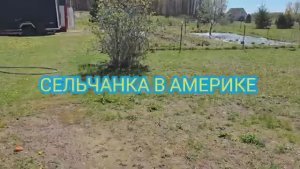 Сельчанка в Америке СЕЛЬСКАЯ ЖИЗНЬ В АМЕРИКЕ