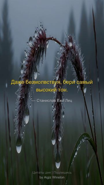Даже безмолвствуя бери самый высокий...