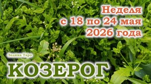 КОЗЕРОГ | ТАРО прогноз на неделю с 18 по 24 мая 2026 года