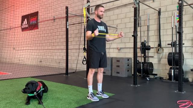MINI BAND SHOULDER EXTERNAL ROTATION | Наружняя ротация плеча с мини-резиной