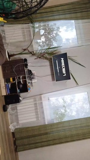 играю в Minecraft