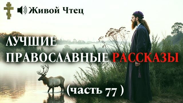 РОДИТЕЛИ СТРОГО ВОСПИТЫВАЛИ СЫНА ПОКА НЕ НАШЛИ ЗАПИСКУ ЛУЧШИЕ ПРАВОСЛАВНЫЕ РАССКАЗЫ часть 77 смотреть онлайн