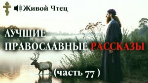 РОДИТЕЛИ СТРОГО ВОСПИТЫВАЛИ СЫНА ПОКА НЕ НАШЛИ ЗАПИСКУ ЛУЧШИЕ ПРАВОСЛАВНЫЕ РАССКАЗЫ часть 77