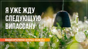 Уже жду следующую випассану. Отзывы участников ретрита