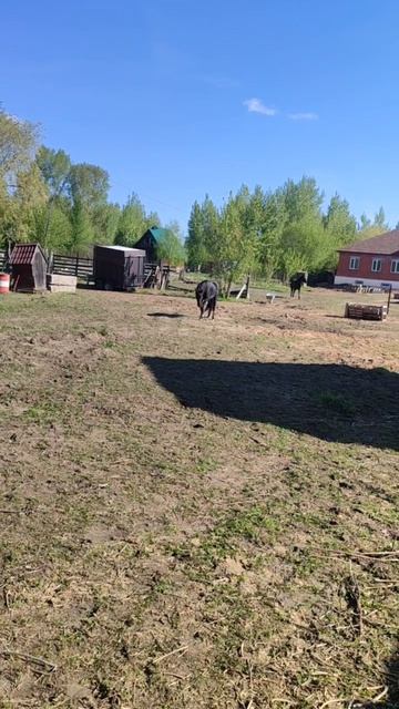 Друзьякони