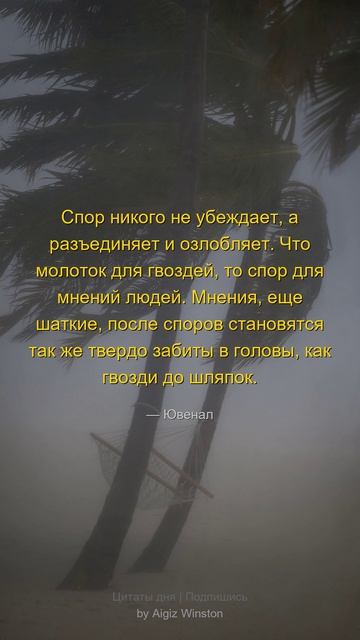 Спор никого не убеждает а...