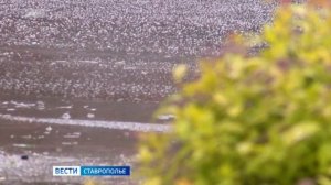 На Ставрополье школьники и студенты продолжают сидеть по домам