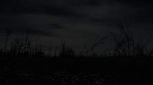 Осень. #