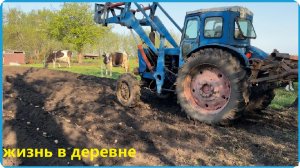 ЭКСПЕРЕМЕНТ НЕ УДАЛСЯ, ПОДГОТОВИЛИ ОГОРОДЫ И ПОСАДИЛИ КАРТОШКУ, ЖИЗНЬ В ДЕРЕВНЕ