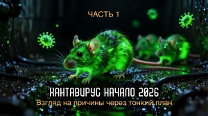 Хантавирус начало. Взгляд с тонкого плана (часть 1)