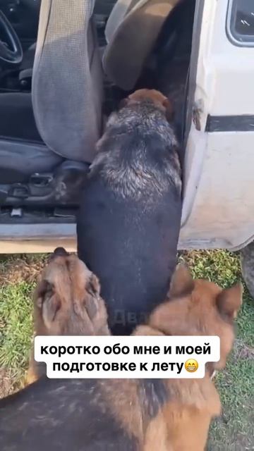 Грузимся Николай 