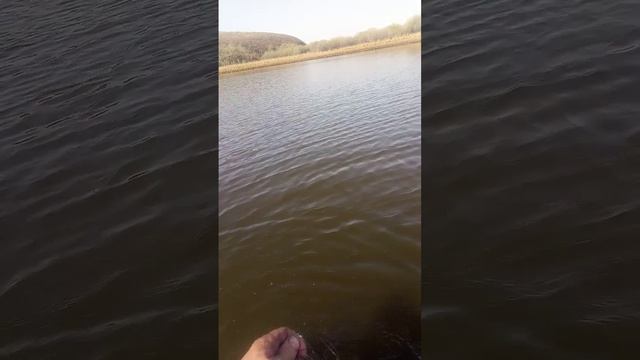 рыбалка