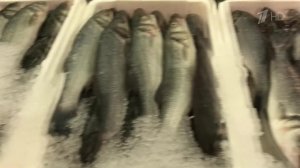 Россельхознадзор приступил к проверке сельхозпродукции из Армении.