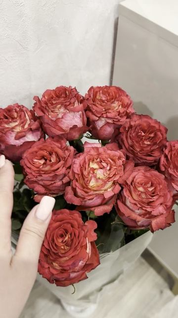 Мой День Рождения! 🎂