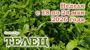ТЕЛЕЦ | ТАРО прогноз на неделю с 18 по 24 мая 2026 года
