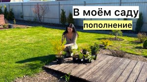 Сразу о плохом и о хорошем! Последствия заморозков! Новинки в сад!
