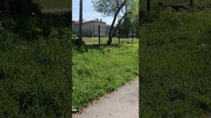 Миасс сегодня