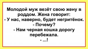 Анекдоты смешные до слез! Подборка Пикантных, Остреньких, Жизненных Анекдотов! Юмор! Смех! Позитив!