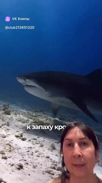Почему мы чувствуем весну?