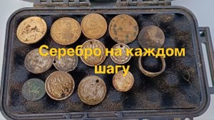 Серебро на каждом шагу #серебряныемонеты #поискмонет2026 #nokta #коп # #NoktaTripleScore #68