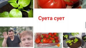 и нет там покоя.../ мукбанг/ болталка/ распаковка