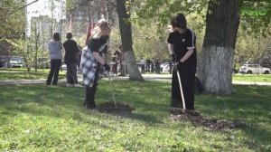 В Самаре 16 мая состоится общегородской субботник