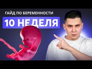 10 НЕДЕЛЯ БЕРЕМЕННОСТИ | Беременность по неделям с доктором Ченчак
