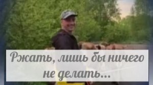 Лучше бы детьми занялась , чем за Гришкой кататься