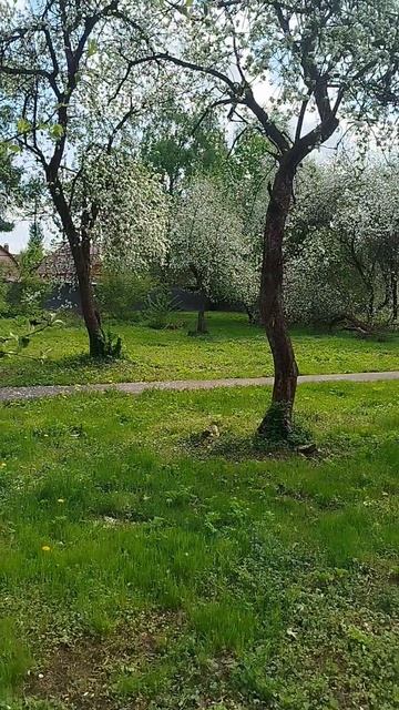 Быт художника смотреть онлайн