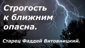 Строгость к ближним опасна. Старец Фаддей Витовницкий.