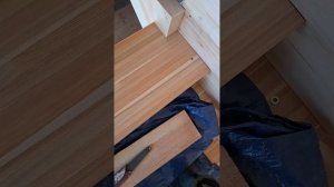 1000058341.mp4 (Собака наблюдает за устройством лестницы на 2-ой этаж в доме А-фрейм)