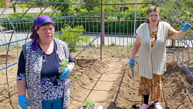 Продолжение цикла Огородные истории. ГБССУ СО ГПВИ Волгоградский ДСО