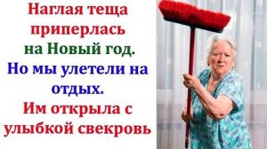 Теща приехала в 9 вечера. Она долго звонила в дверь, но никто не открывал. Может они правда уехали