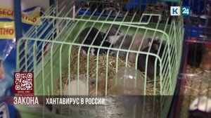 На стороне закона. 15.05.2026