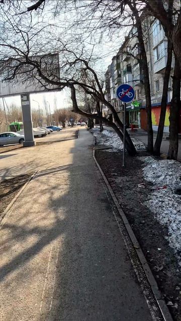 Дерево важнее чем эти ваши велодорожки и эти ваши велобошки велопоездка велосипед Тюмень
