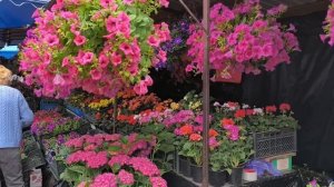 Центральный рынок Белгород 15.05.26.