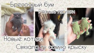 КОТИКИ, ЛЯГУШКИ И КРЫС | ГОТОВЫЕ РАБОТЫ | БРЕЛОЧНЫЙ БУМ | Вязовлог