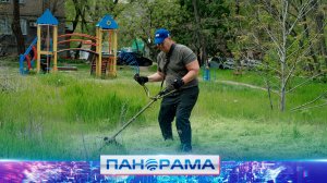 ⚡️ Опасный сухостой во дворе: жительница Донецка обратилась за помощью к Главе ДНР! Вопрос решён?