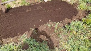 Посадили кабачки / повесили светильник на улице