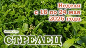 СТРЕЛЕЦ | ТАРО прогноз на неделю с 18 по 24 мая 2026 года