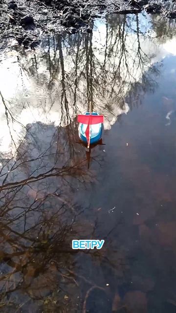 lv_0_20260515111023.mp4